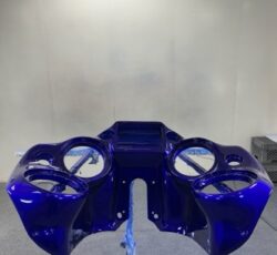 Gallery (20)